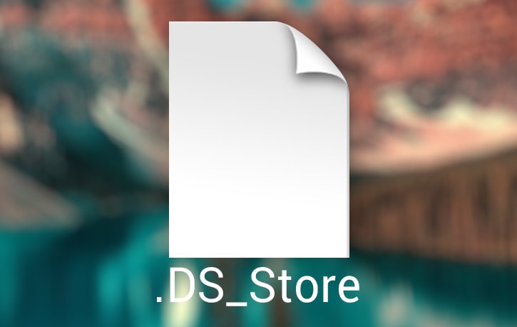 What is .DS_Store